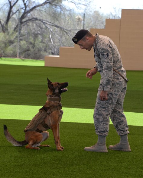 U.S. Air Force Staff Sgt. Carlos Orantes, 355th Security Forces Squadron military working dog trainer, conducts proficiency training with Ootter, 355th SFS MWD, at Davis-Monthan Air Force Base, Ariz., March 16, 2017. The 355th SFS recieved a new training facility with features that are beneficial in further enabling MWDs and their handlers to achieve mission readiness. (U.S. Air Force photo by Airman 1st Class Giovanni Sims)