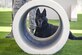 U.S. Air Force military working dog, Lana, assigned to the 355th Security Forces Squadron at Davis-Monthan Air Force Base, Ariz., relaxes after completing obedience training at the new MWD facility March 16, 2017. MWDs and their handlers support the Department of Defense, other government agencies and allies through training, logistical, veterinary support and research and development for security efforts worldwide. (U.S. Air Force photo by Airman 1st Class Giovanni Sims)