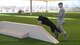 U.S. Air Force Senior Airman Tanner McKinley, 355th Security Forces Squadron military working dog handler, trains with Lana, 355th MWD, at Davis-Monthan Air Force Base, Ariz., March 16, 2017. The 355th SFS mission is to protect, defend and fight to enable Air Force joint and coalition mission success. (U.S. Air Force photo by Airman 1st Class Giovanni Sims)