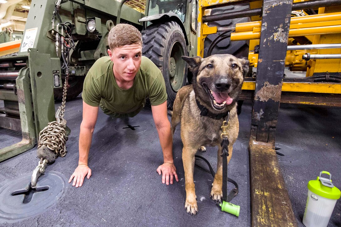 Sgt. Linda, a military working dog, stands by her handler, Marine Corps Cpl. Garret Watkins, as he participates in physical training aboard the USS America in the Pacific Ocean, April 8, 2017, as the ship prepares for its inaugural deployment. Navy photo by Petty Officer 1st Class Benjamin Wooddy