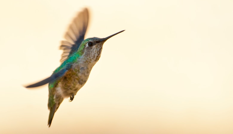 Photo Contest Tours Part Of Earth Day Festivities Travis Air Force Base News