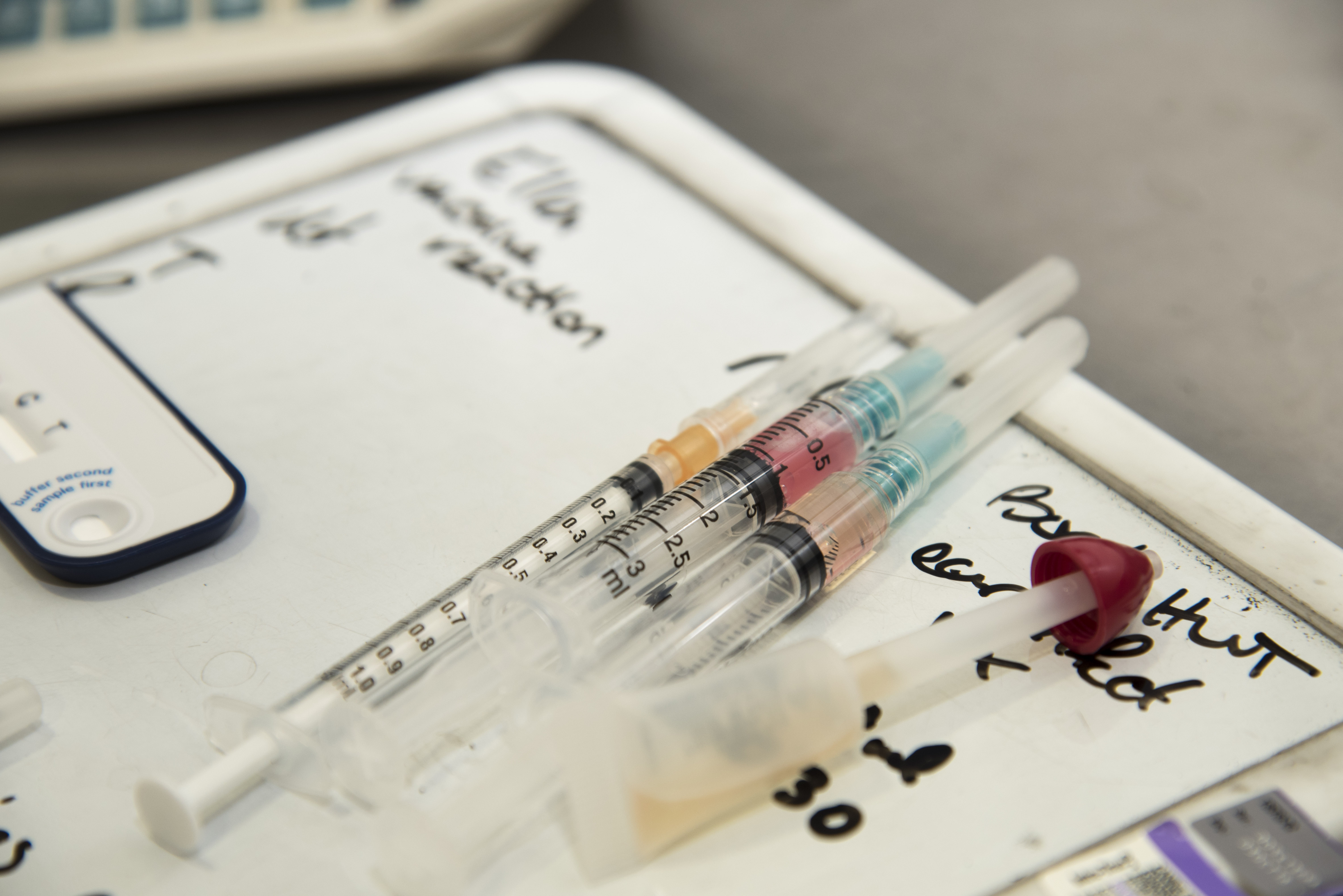 A round of a paws for Team Misawa vet clinic > Misawa Air Base