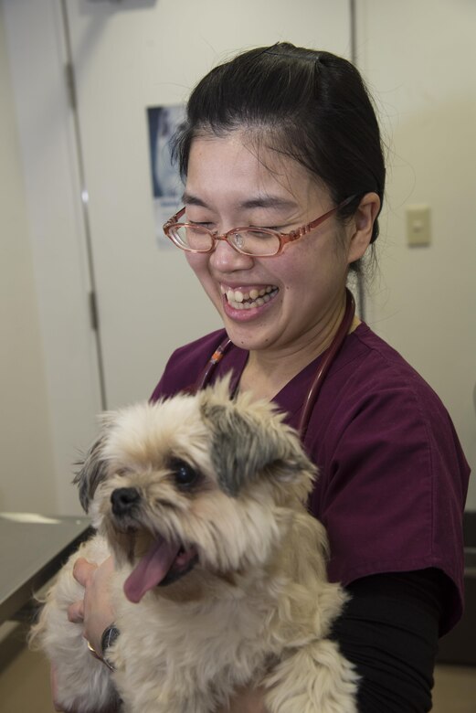 A Round Of A Paws For Team Misawa Vet Clinic Gt Misawa Air