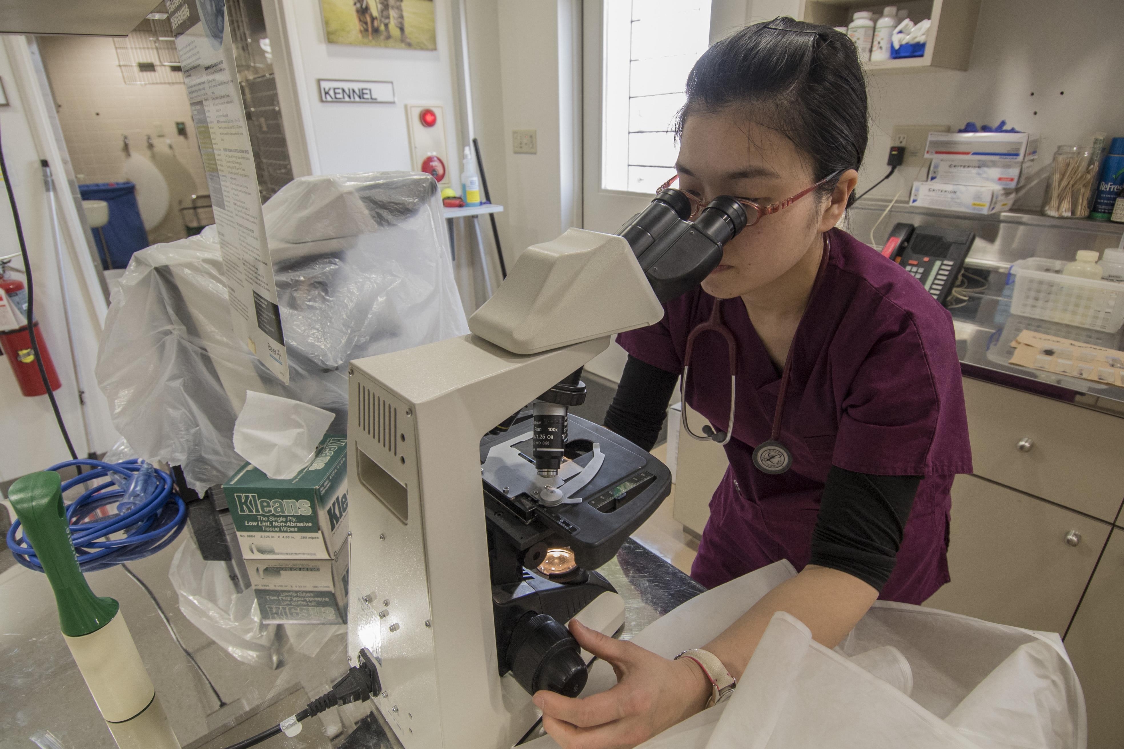 A round of a paws for Team Misawa vet clinic > Misawa Air Base