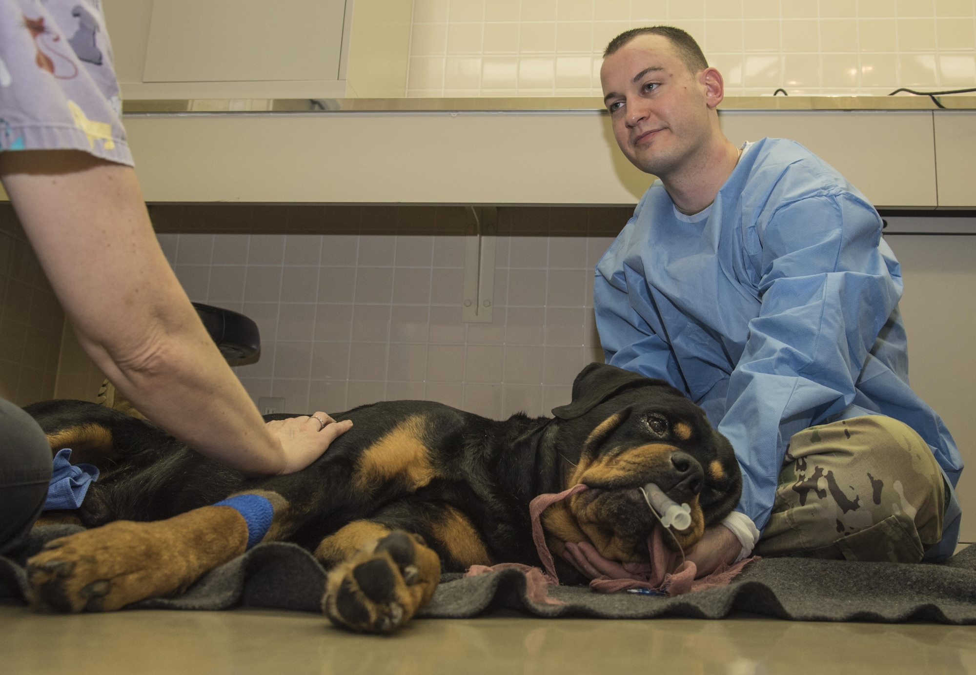 A round of a paws for Team Misawa vet clinic Misawa Air Base
