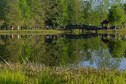 Team Shaw members participate in the Weasel Walk around Memorial Lake at Shaw Air Force Base, S.C., April 10, 2017. More than 100 Team Shaw members gathered to raise money for their fellow Airmen during the kick-off event for the Air Force Assistance Fund campaign. (U.S. Air Force photo by Airman 1st Class Destinee Sweeney)