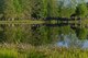 Team Shaw members participate in the Weasel Walk around Memorial Lake at Shaw Air Force Base, S.C., April 10, 2017. More than 100 Team Shaw members gathered to raise money for their fellow Airmen during the kick-off event for the Air Force Assistance Fund campaign. (U.S. Air Force photo by Airman 1st Class Destinee Sweeney)
