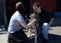 (From Left) Alexis Topham, Sorius Valley Animal Shelter kennel assistant, along with Airman 1st Class Cameron Longnecker, 5th Logistics Readiness Squadron vehicle maintainer, put a leash around a dog at SVAS in Minot, N.D., March 29, 2017. The 5th LRS volunteers walked and played with the dogs during their visit to the shelter. (U.S. Air Force photo/Airman 1st Class Dillon J. Audit) 