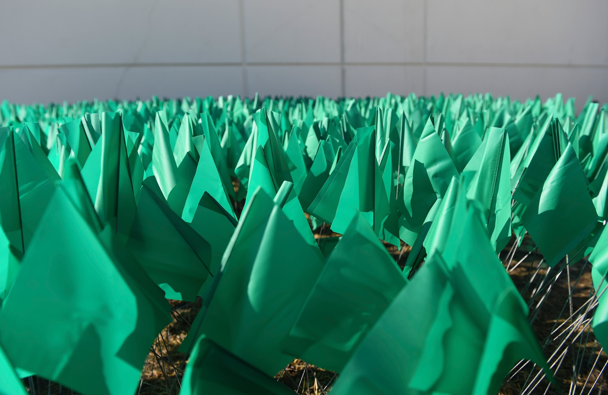 Joint Base Elmendorf-Richardson service members and personnel participate in the Teal Flag Project at the JBER Commissary, Alaska, April 11, 2017. The Teal Flag Project is a silent exhibit illustrating the number of sexual assaults in a given fiscal year. Each of the 3,828 flags planted represent a survivor who reported a sexual assault through the Sexual Assault Prevention and Response Office and the Sexual Harassment and Assault Response Prevention programs across the Air Force and Army departments during fiscal year 2015. 
