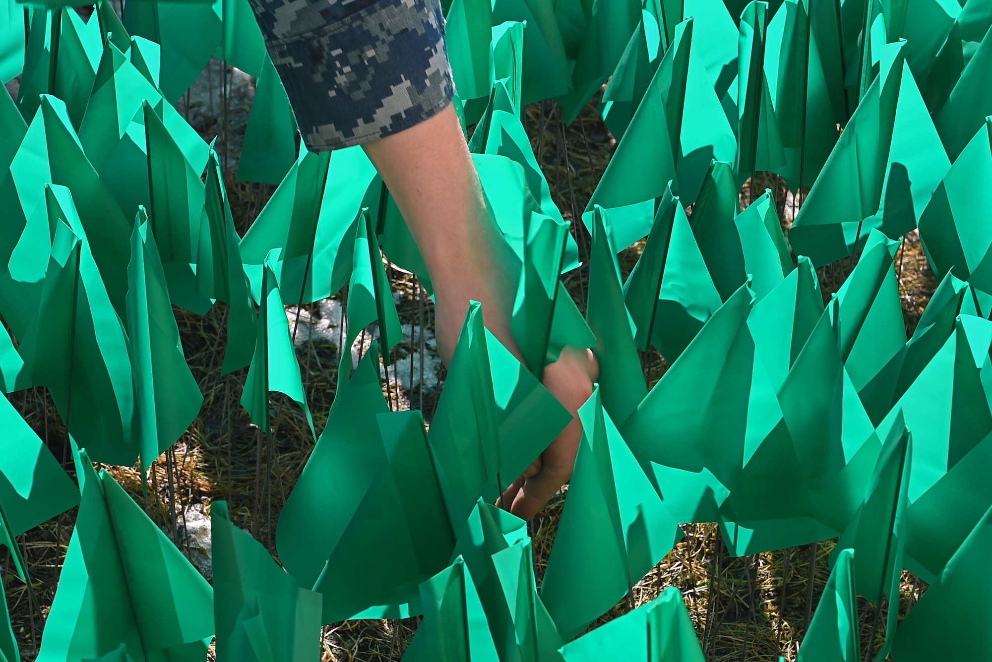 Joint Base Elmendorf-Richardson service members and personnel participate in the Teal Flag Project at the JBER Commissary, Alaska, April 11, 2017. The Teal Flag Project is a silent exhibit illustrating the number of sexual assaults in a given fiscal year. Each of the 3,828 flags planted represent a survivor who reported a sexual assault through the Sexual Assault Prevention and Response Office and the Sexual Harassment and Assault Response Prevention programs across the Air Force and Army departments during fiscal year 2015. 