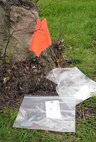 Flags provide a visual marker of tagged items in an aircraft crash response/search and recovery training April 7, 2017, on RAF Lakenheath, England. Items simulating aircraft parts and human remains were scattered around the duck pond on base as Airmen from RAF Mildenhall, RAF Lakenheath and 927th Force Support Squadron Reserves, MacDill Air Force Base, Fla., participated in the training. (U.S. Air Force photo by Karen Abeyasekere)