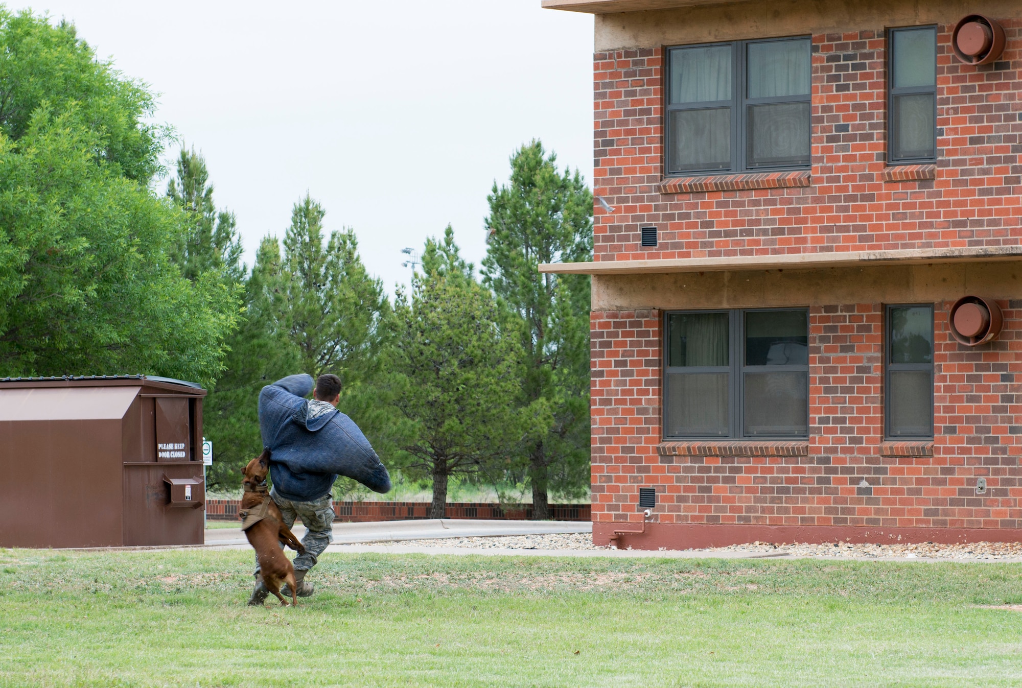 U.S. Air Force Senior Airman Sergio Mihai, 7th Security Forces Squadron military working dog handler, gets attacked during a military working dog demonstration at Dyess Air Force Base, Texas, April 12, 2017. The bite training trains MWDs where to bite during real-world scenarios. (U.S. Air Force photo by Airman 1st Class Austin Mayfield)