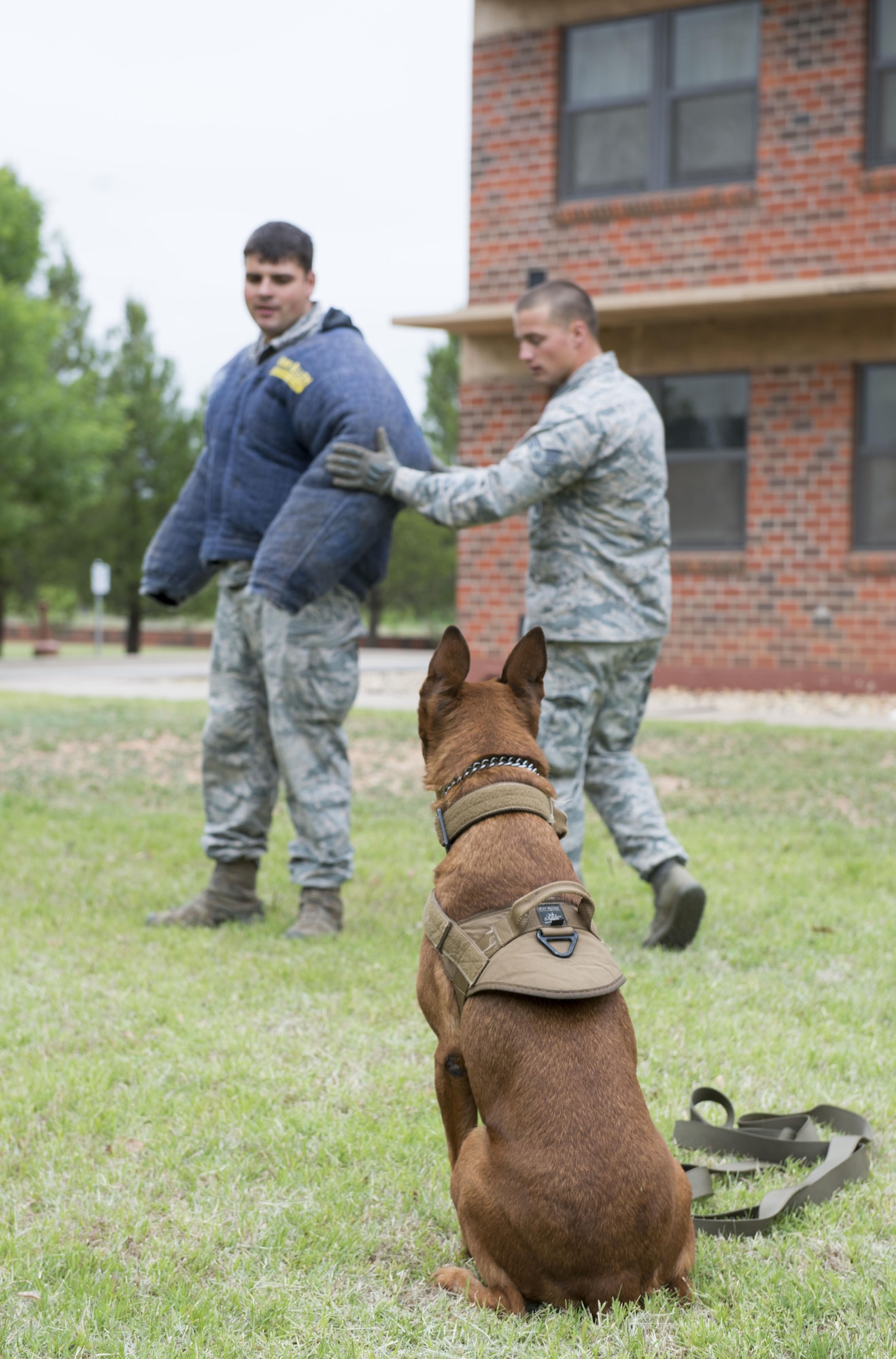 U.S. Air Force Senior Airman Brennen Fletcher does a search demonstration on Senior Airman Sergio Mihai, both 7th Security Forces Squadron military working dog handlers, at Dyess Air Force Base, Texas, April 12, 2017. The search demonstration requires the MWD to act as a deterrence to allow his handler to safely search the suspect. (U.S. Air Force photo by Airman 1st Class Austin Mayfield)