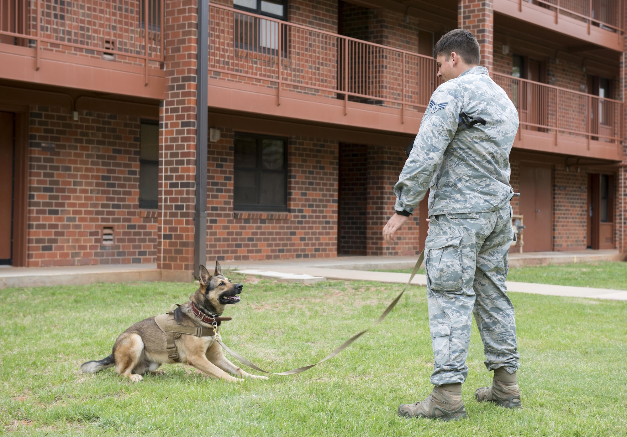 U.S. Air Force Senior Airman Sergio Mihai, 7th Security Forces Squadron military working dog handler, trains with his dog, Ddewey, to keep him obedient and disciplined at Dyess Air Force Base, Texas, April 12, 2017. MWDs are used on patrol, drug, explosive detection and suspect apprehension. (U.S. Air Force photo by Airman 1st Class Austin Mayfield)