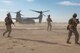 U.S. Marines assigned to 1st Battalion, 7th Marine Regiment,  Special Purpose Marine Air-Ground Task Force-Crisis Response-Central Command  exercise the tactical recovery of aircraft and personnel with an MV-22 Osprey assigned to t Marine Medium Tiltrotor Squadron 165 at an undisclosed location in Southwest Asia, April 5, 2017. The Marines, who are assigned to the Special Purpose Marine Air Ground Task Force, regularly exercise the capability to keep their skills sharp while in the deployed location. (U.S. Air Force photo/Master Sgt. Benjamin Wilson)(Released)