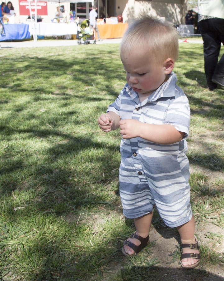 One year old Brayden Dacier, son of Andrea and Sgt. Brandon Dacier, stopped his search for Easter eggs immediately upon finding a lady bug during the Easter Egg Hunt and Roll held aboard Marine Corps Logistics Base Barstow, Calif., April 12.