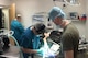 U.S. Air Force Col. Marco Galvez, left, chief endodontist of the 55th Dental Squadron, and U.S. Army Capt. Brian Adams, right, branch chief of Offutt's veterinarian services, perform a root canal on Dasty, a military working dog from the 55th Security Forces Squadron March 7, 2017 at  the Offutt Air Force Base Veterinary Treatment Facility. (Courtesy photo) 