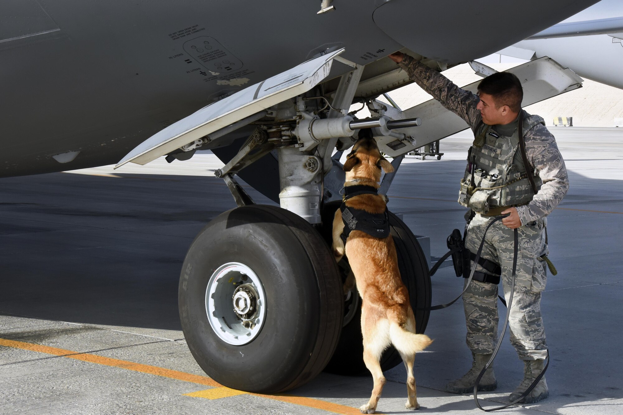 U.S. Air Force Senior Airman Kaleb Sermeno, a military working dog handler with the 379th Expeditionary Security Forces Squadron, sweeps the exterior of a C-17 Globemaster III with his military working dog Ben during detection training at Al Udeid Air Base, Qatar, April 15, 2017. Detection training in and around an aircraft is beneficial for the handler and the canine in the event that they need to respond to an aircraft related mission or incident. (U.S. Air Force photo by Senior Airman Cynthia A. Innocenti)