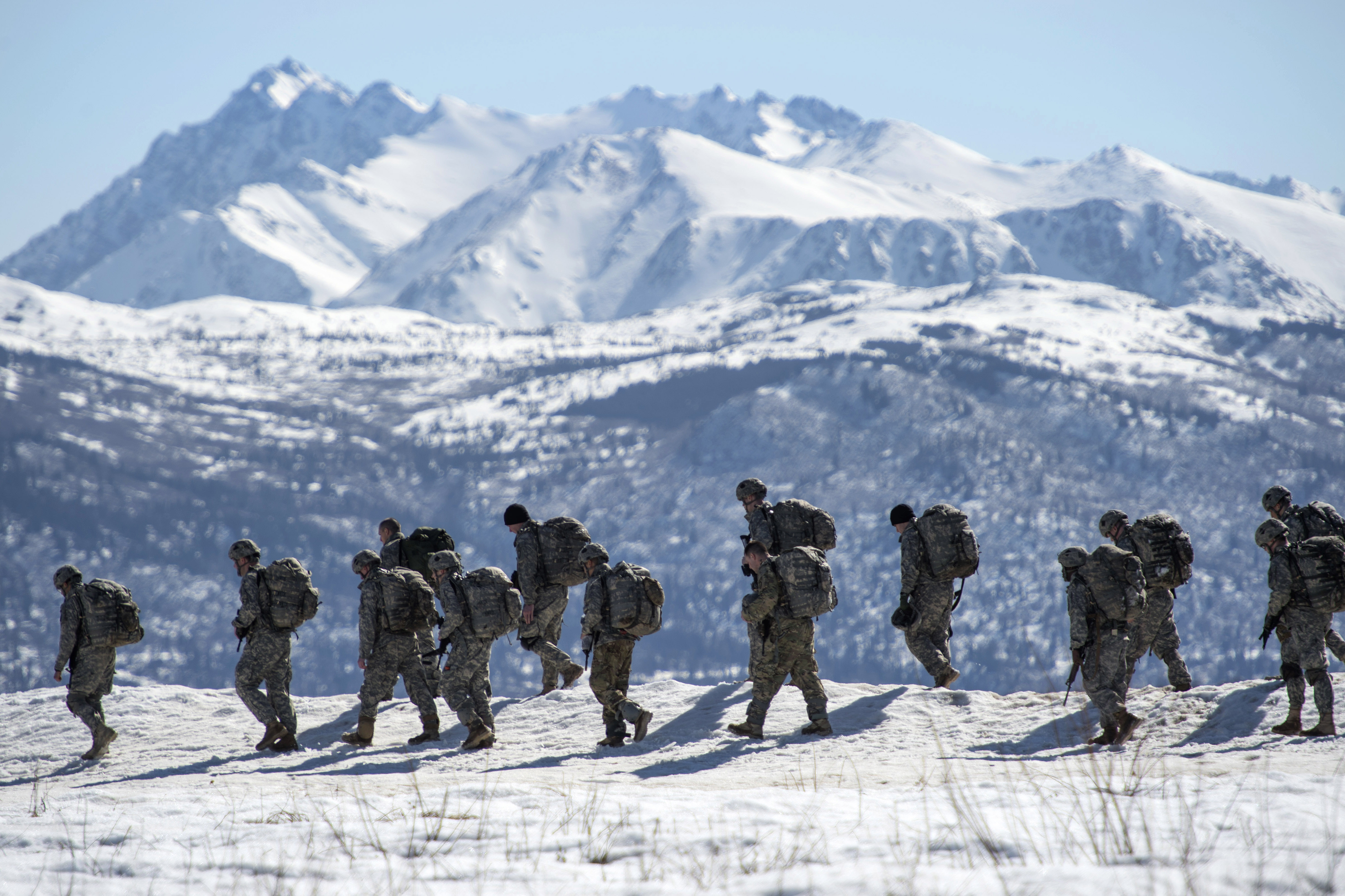 Walking Off Malemute