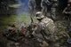 A U.S. Air Force service member cooks a snake during Cope North 17 survival training at Andersen Air Force Base, Guam, Feb. 17, 2017. Cope North is a long-standing Pacific Air Forces-led exercise designed to enhance multilateral air operations between the U.S. Air Force, U.S. Navy, Japan Air Self-Defense Force and Royal Australian Air Force. (U.S. Air Force photo by Airman 1st Class Christopher Quail)
