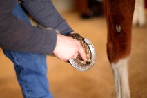 Senior Airman Nick Halbasch, 5th Operations Support Squadron work master, cleans his wife’s horse Dante’s hooves at the Dufresne Riding Club Stables at Minot Air Force Base, N.D., April 11, 2017. The Dufresne Riding Club is a small community of horse enthusiasts that maintains a stable on base. (U.S. Air Force photo/Airman 1st Class Austin M. Thomas)