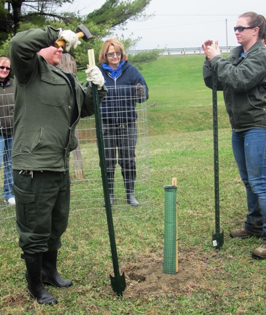 Members of the Ohio Department of Natural Resources with cooperation of the American Chestnut Foundation, and employees from U.S. Army Corps of Engineers Pittsburgh District partnered to plant more than 100 chestnut tree seedlings at Mosquito Creek Lake, March 31. 
