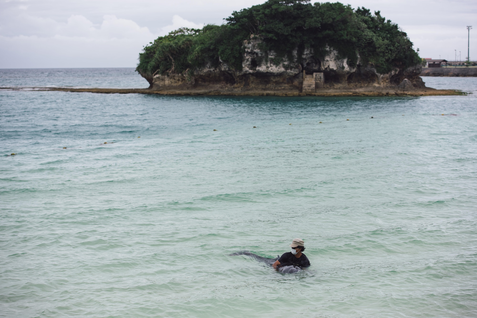 U.S. Air Force retired Master Sgt. David Lacar gently holds onto an in injured dwarf sperm whale April 17, 2017, at Kadena Marina, Japan. Lacar held onto and calmed the injured whale for more than two hours with no wetsuit until help could arrive. (U.S. Air Force photo by Senior Airman Omari Bernard/Released)