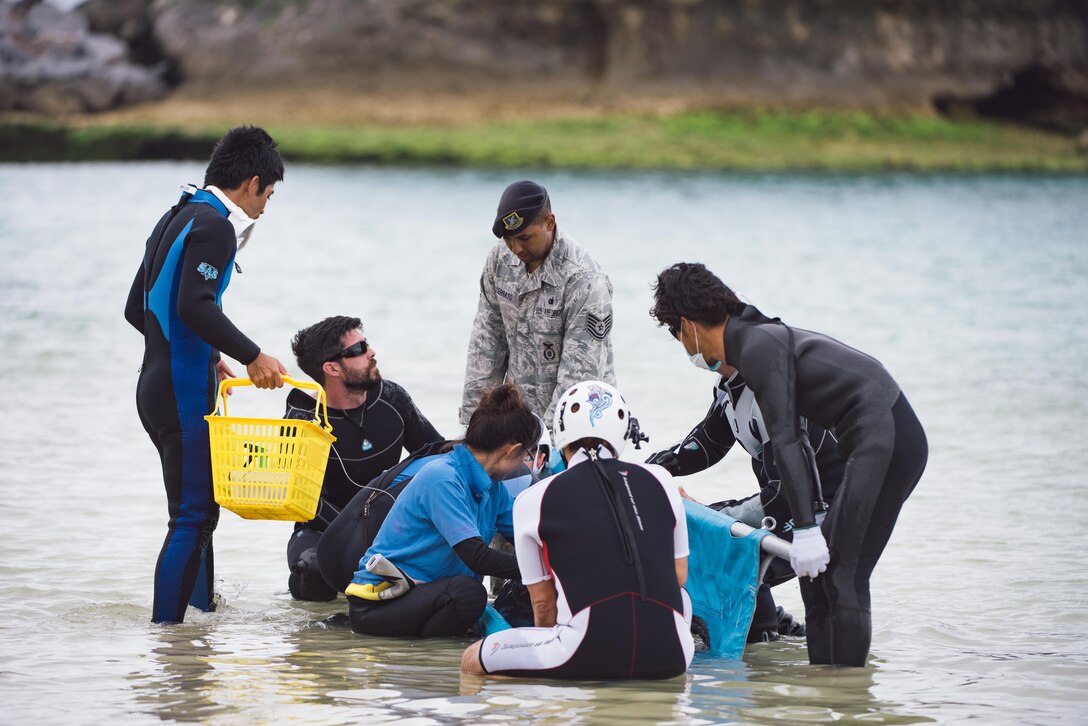 A makeshift rescue team of Okinawan veterinarians, bystanders, and personnel from the 18th Security Forces Squadron and 18th Force Support Squadron coax an injured dwarf sperm whale onto a stretcher April 17, 2017, at Kadena Marina, Japan. The makeshift team was able to keep the whale calm during rescue efforts. (U.S. Air Force photo by Senior Airman Omari Bernard/Released)