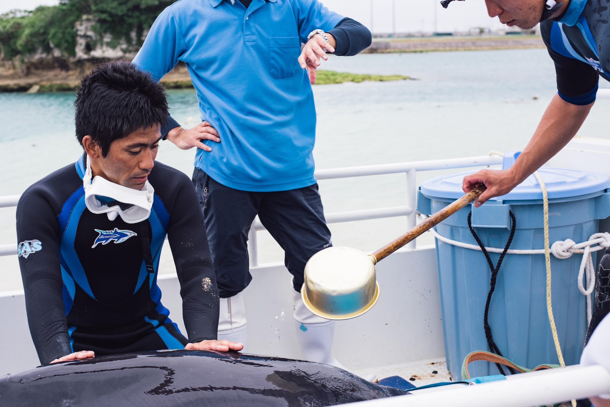 A veterinarian team from the Okinawa Charumi Aquarium pours water on an injured dwarf sperm whale April 17, 2017, at Kadena Marina, Japan. The team waited for the whale to stabilize before beginning the hour-long journey to the aquarium where the whale is currently under medical care. (U.S. Air Force photo by Senior Airman Omari Bernard/Released)