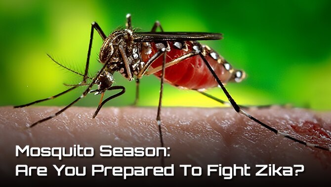 Mosquito season 2017