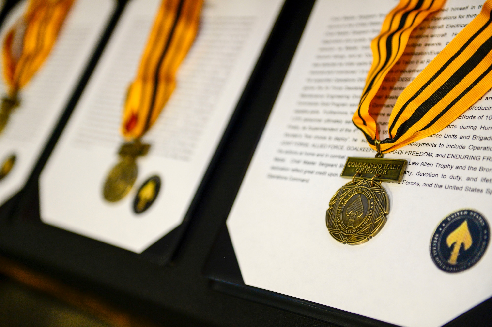 The Commando Hall of Honor was created by former USSOCOM commander Adm. Eric T. Olson in 2010 to recognize individuals who have served with distinction within the Special Operations Community. The inductees embody the skills, values, spirit and courage of a Special Operations Forces Warrior and their impact must be extraordinary and enduring.