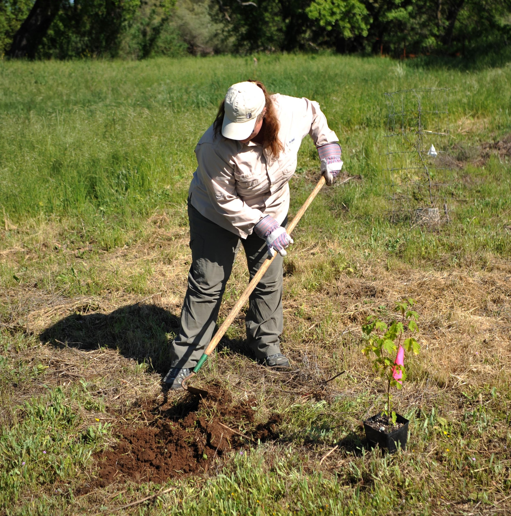 Ann Bedlion, 9th Civil Engineer Squadron natural and cultural resource manager, removes weeds in order to plant a tree April 21, 2017, at Beale Air Force Base, California. The enviromental office capped off Earth Week with the tree planting. (U.S. Air Force photo/Airman 1st Class Tristan D. Viglianco)