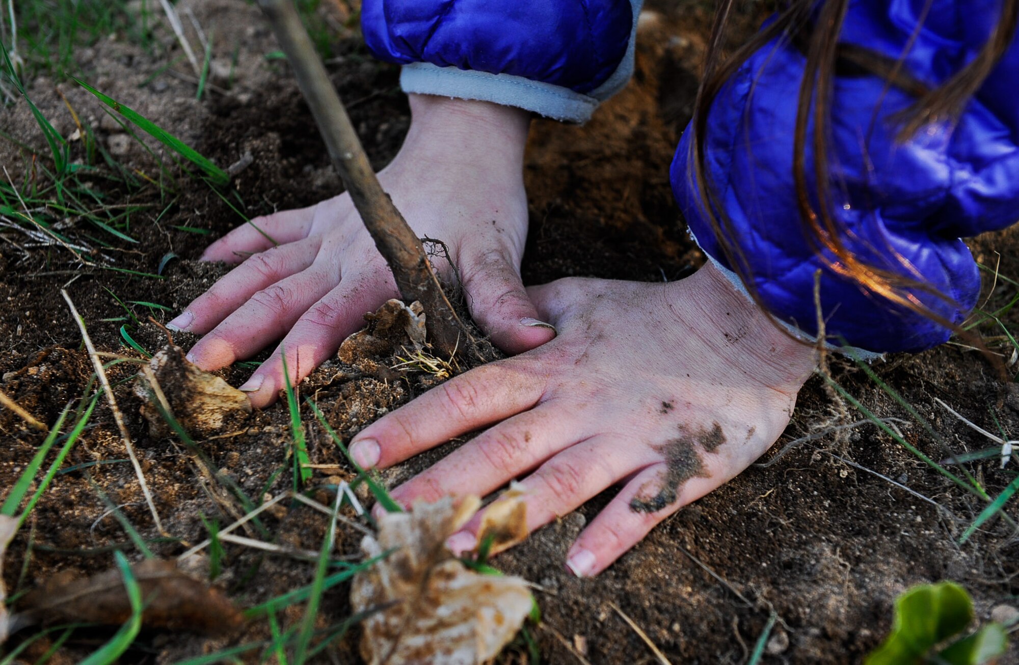 Natalia Brown, daughter of Lt. Col Tyson Brown, 86th Medical Squadron allergist, presses dirt onto a planted tree on Ramstein Air Base, Germany, April 21, 2017. This year, more than 85 Kaiserslautern Military Community students and teachers participated in Earth Day by planting more than 1,500 trees. (U.S. Air Force photo by Airman 1st Class Savannah L. Waters)