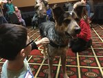Ted, a German Shepherd/Coonhound mix, engages in Wisconsin National Guard Service Member Support Division programs such as Yellow Ribbon events and Youth Camp as a therapy dog. 