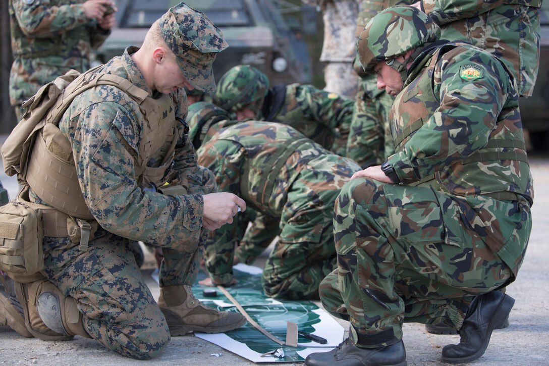 A Marine teaches a Bulgarian soldier how to build a linear charge during breaching training at Exercise Summer Shield on Adazi Military Base, Latvia, April 20, 2017. Exercise Summer Shield is a multinational NATO exercise. The Marines are assigned to the Black Sea Rotational Force 17.1. Marine Corps photo by Sgt. Patricia A. Morris