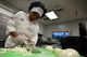 U.S. Air Force Senior Airman Chastity Cheatham, 20th Force Support Squadron food services journeyman, cuts onions at the Chief Master Sgt. Emerson E. Williams Dining Facility (DFAC) at Shaw Air Force Base, S.C., April 24, 2017. Food service Airmen spend on average 12 hours preparing over 800 servings of food for more than 600 service members each day. (U.S. Air Force photo by Airman 1st Class Christopher Maldonado)