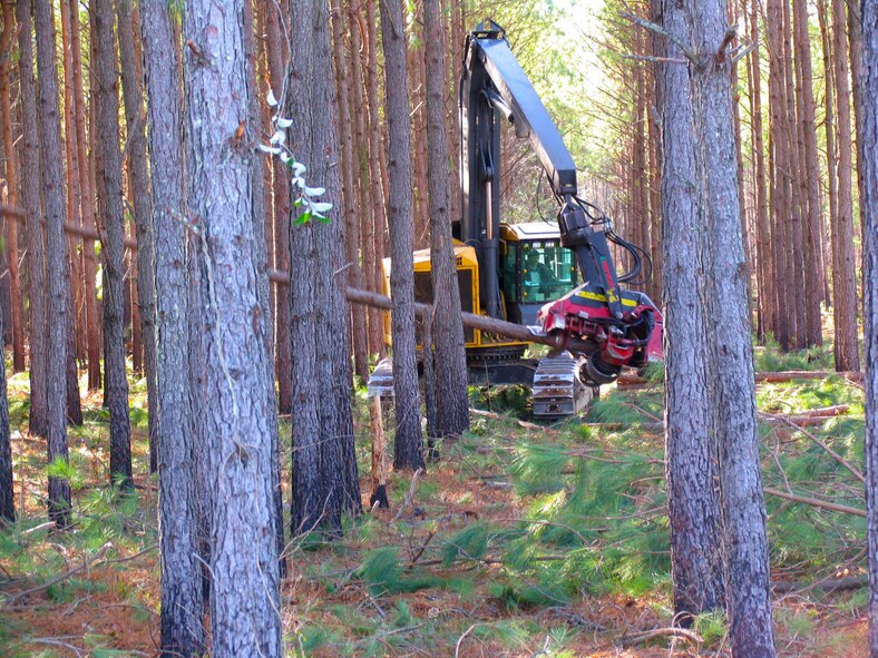 Logging at Arnold Air Force Base is shown here as part of the Base Forest Management Program priorities for Air Force land use, which are sustainable mission support and stewardship. (AEDC photo)