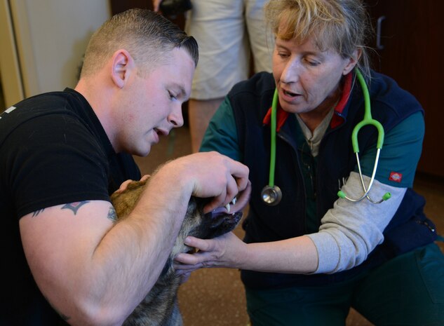 Senior Airman Glenn Holden, 341st Security Forces Squadron military working dog handler and Melanie Swartz, Army Public Health Command veterinarian, perform a routine physical on MWD Lady April 19, 2017, at Malmstrom Air Force Base, Mont. A veterinarian team travels to Malmstrom once a quarter to perform routine care for the K-9s and teach the MWD handlers veterinarian techniques. (U.S. Air Force photo/Staff Sgt. Delia Marchick)
