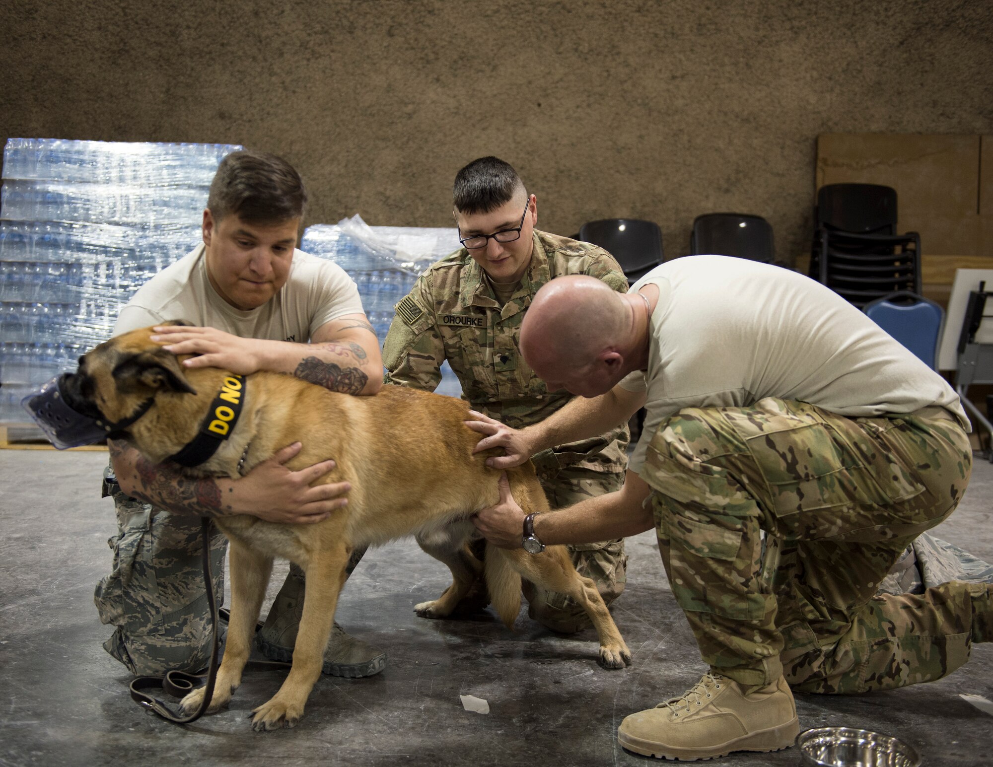 U.S. Air Force Capt. Andrew Bisset, right, 379th Expeditionary Aeromedical Evacuation Squadron, checks the femoral artery on military working dog Ben at Al Udeid Air Base, Qatar, April 19, 2017. Bisset attended the class in order to gain a better understanding of a military working dog anatomy so he can help in the event that no veterinary medical staff is available. (U.S. Air Force photo by Tech. Sgt. Amy M. Lovgren)