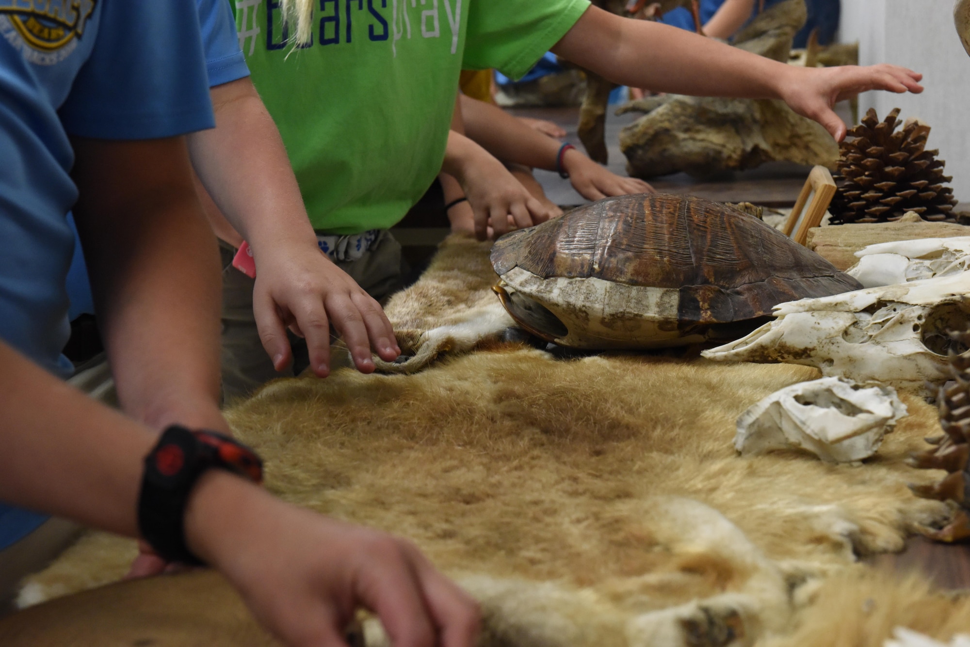Children from Legacy Elementary School feel animal pelts, skulls and shells of animals that exist in the local ecosystem during an Earth Day field trip at Barksdale Air Force Base, La., April 21, 2017. Barksdale East Reservation contains a wide variety of animals like alligators, hornets, beavers, and falcons. (U.S. Air Force photo/Senior Airman Luke Hill)