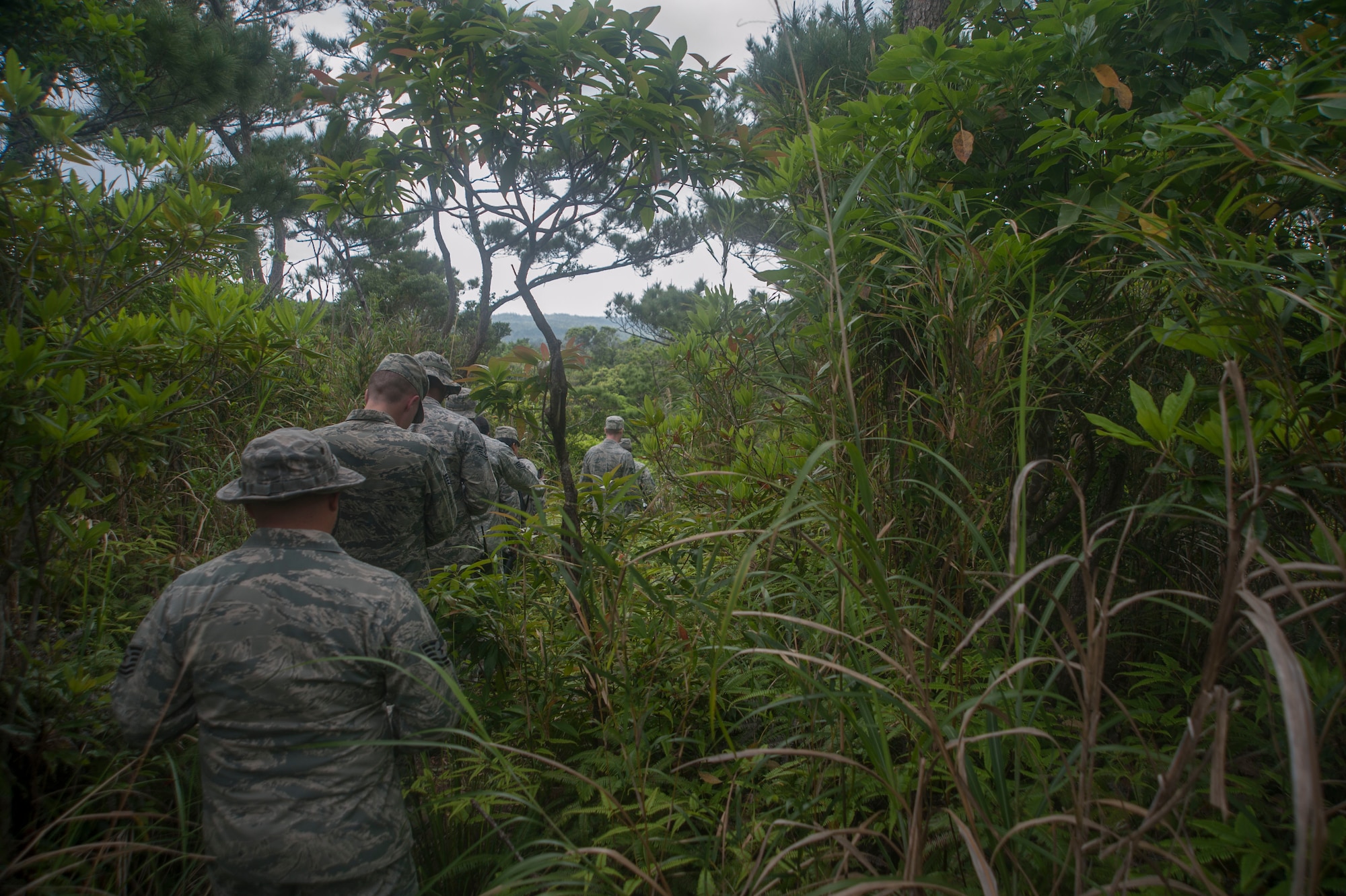 U.S. Air Force Airmen assigned to the 18th Medical Group navigate a jungle as part of the Preventative Aerospace Medicine Convention April 21, 2017, at Kadena Air Base, Japan. Correctly and safely navigating potentially dangerous terrain was one of the focal points of the PAMACON. (U.S. Air Force photo by Airman 1st Class Quay Drawdy)