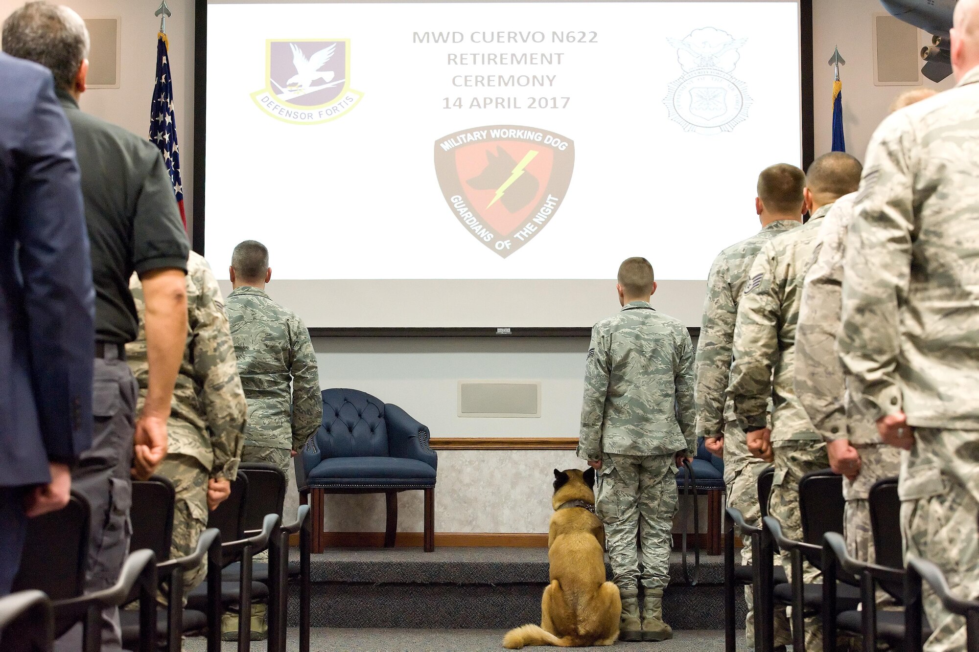 At his retirement ceremony, Military Working Dog Cuervo, N622, assigned to the 436th Airlift Wing, 436th Security Forces Squadron, sits next to his MWD handler Senior Airman Alexander Cormier, April 14, 2017, on Dover Air Force Base, Del. MWD Cuervo retired from active duty after serving more than seven years. (U.S. Air Force photo by Roland Balik)