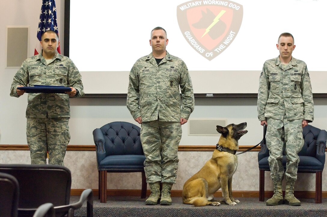 Military Working Dog Cuervo, N622, assigned to the 436th Airlift Wing, 436th Security Forces Squadron, retires from the U.S. Air Force during a ceremony April 14, 2017, on Dover Air Force Base, Del. Between April 2, 2010 to April 14, 2017, MWD Cuervo performed admirably both on the installation and during two deployments in support of Operations Inherent Resolve and Freedom Sentinel. While stateside, he searched over 60,000 commercial vehicles, conducted over 1,500 Random Antiterrorism Measures, and over 6,000 hours of patrol. During his deployments, MWD Cuervo searched a combined total of over 6,000 vehicles and over 120 buildings. (U.S. Air Force photo by Roland Balik)