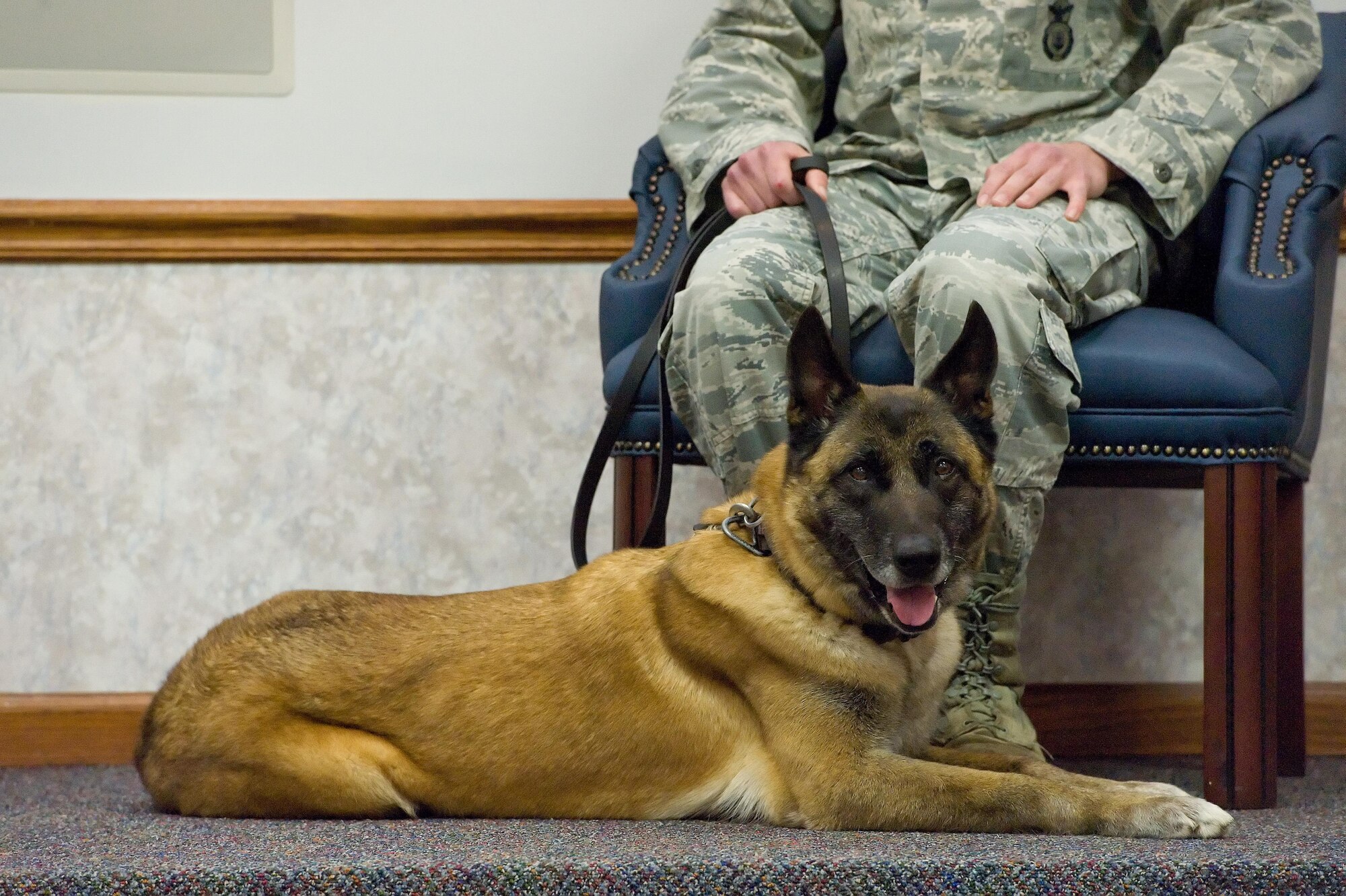 Military Working Dog Cuervo, N622, assigned to the 436th Airlift Wing, 436th Security Forces Squadron, lays in front of Senior Airman Alexander Cormier, 436th SFS MWD handler, during Cuervo’s retirement ceremony April 14, 2017, on Dover Air Force Base, Del. Lt. Col. Dana Metzger, 436th SFS commander, was the officiating officer for the ceremony, which paid special tribute to Cuervo’s faithful and dedicated service to the nation. (U.S. Air Force photo by Roland Balik)