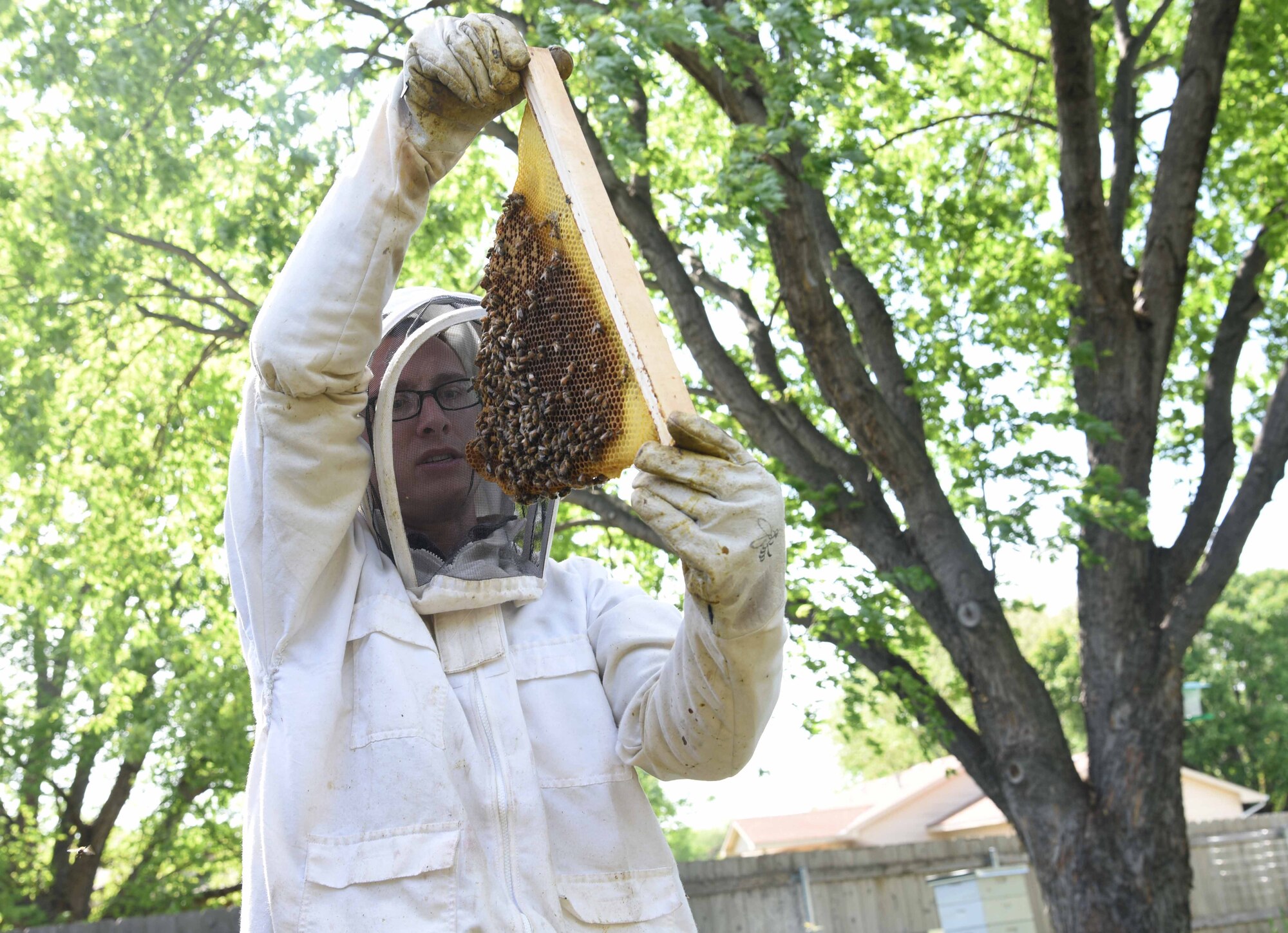 Tech. Sgt. Garrett Wright, 22nd Operations Support Squadron Survival Evasion Resistance and Escape and Personnel Recovery specialist, inspects one of his honeybee hives April 24, 2017, in Derby, Kan. Wright, who is an environmental science major, is interested in the impact honeybees and other insects have on the environment. (U.S. Air Force photo/Airman 1st Class Erin McClellan)