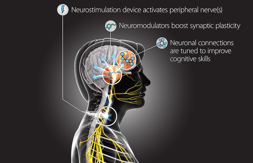 This Targeted Neuroplasticity Training concept diagram demonstrates how the Defense Advanced Research Projects Agency program will explore using peripheral nerve stimulation to enhance learning processes in the brain. DARPA will fund research teams from seven universities and partner with elements of the Air Force and Army to execute the program. DARPA graphic