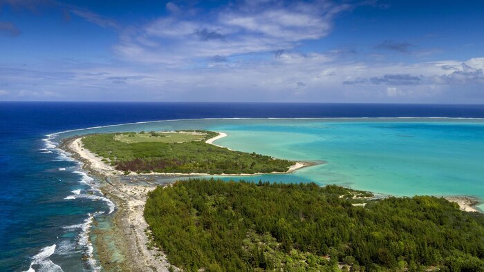 Birds fly and nest in the bird sanctuary on Wilkes Island at Wake Atoll April 11, 2017. The sanctuary has approximately 40,000 birds and 12 species on an island less than one square mile in size. The U.S. Air Force, through partnerships with agencies such as the U.S. Fish and Wildlife Service and the National Oceanic and Atmospheric Administration, have worked in recent years to restore Wake Atoll to a more natural habit for its bird population and rid the three islands of invasive plant species. Wake Atoll, made up of the tropical islands of Wilkes, Wake and Peale, is located approximately 2,138 nautical miles west of Honolulu, has a population of roughly 100 residents including Air Force personnel and American and Thai contractors, and is managed by the Pacific Air Forces Regional Support Center under 11th Air Force at Joint Base Elmendorf-Richardson, Alaska