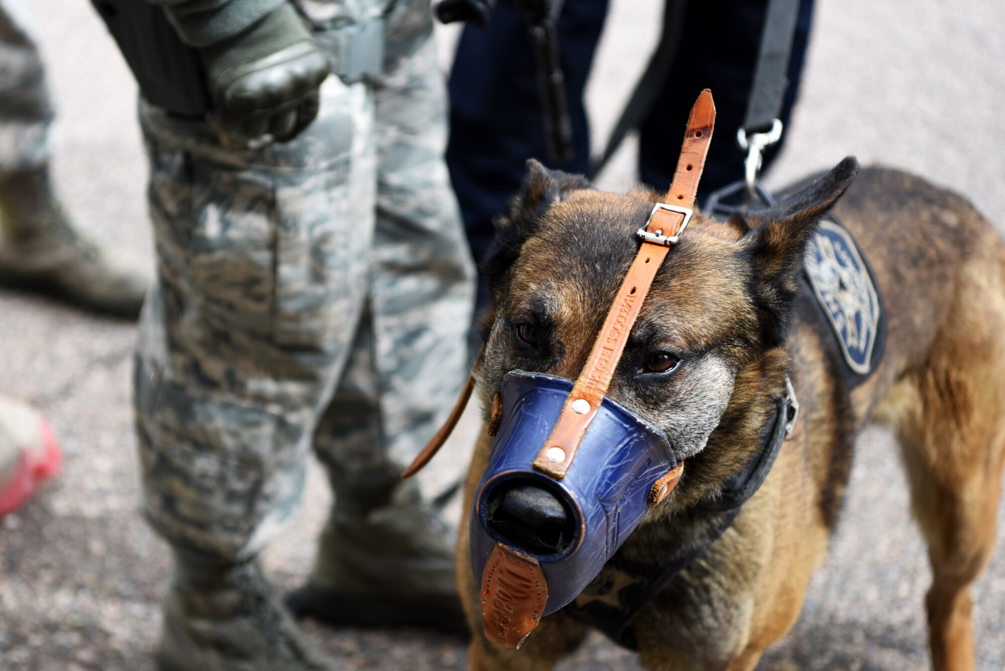 Members of Buckley Air Force Base’s Emergency Services Team train with an Adams County Sheriff Department K-9 unit Apr. 21, 2017, on Buckley AFB, Colo. The K-9 handler gave the 460th Security Forces Squadron members a presentation to highlight the important benefits of adding a K-9 unit to the bases team. (U.S. Air Force photo by Airman 1st Class Holden S. Faul/ Released)