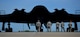 U.S. Air Force Chief Master Sgt. Darron Hunter, the 509th Maintenance Group (MXG) superintendent, performs pre-flight checks on a B-2 Spirit and signals to the mission commander that he is clear and free to move to the runway at Whiteman Air Force Base, Mo., April 24, 2017. During Hunter’s first assignment at Whiteman, he served as the dedicated crew chief (DCC) on the Spirit of Kitty Hawk, tail number 93-1086, from 2000 to 2002, before moving into Quality Assurance and Production for another seven years. In 2015, Hunter returned to the 509th as the MXG superintendent, bringing his career full circle before retiring. For one last farewell, Hunter once more performed the role of the DCC for his old aircraft, 