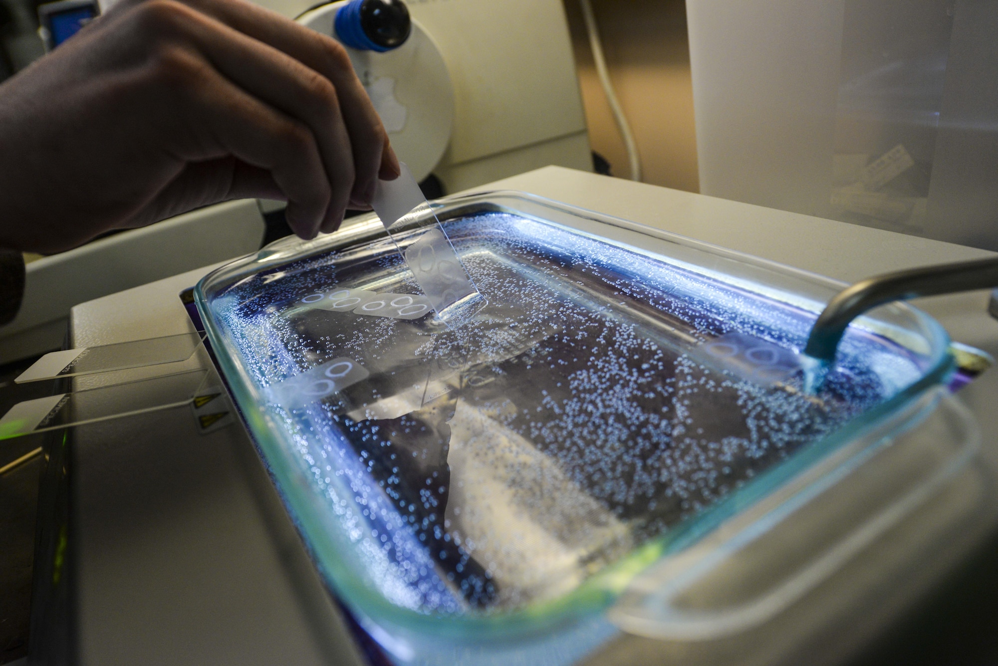 An Airman prepares a slide in the in the hematology laboratory section of the Mike O’Callaghan Federal Medical Center at Nellis Air Force Base, Nev., April 24, 2017. Even though each section in the Clinical Laboratory is specialized in the tests they perform, all of the lab sections work together to provide the best patient care. (U.S. Air Force photo by Airman 1st Class Nathan Byrnes/Released)